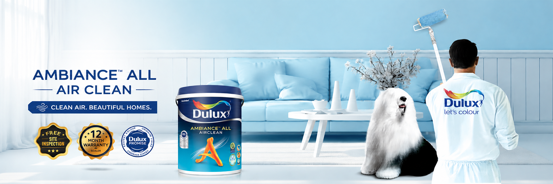 Dulux India Banner 6