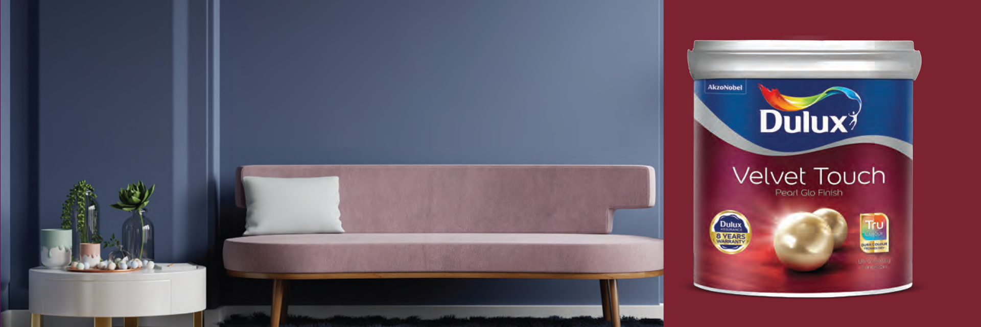 Dulux India Banner 9